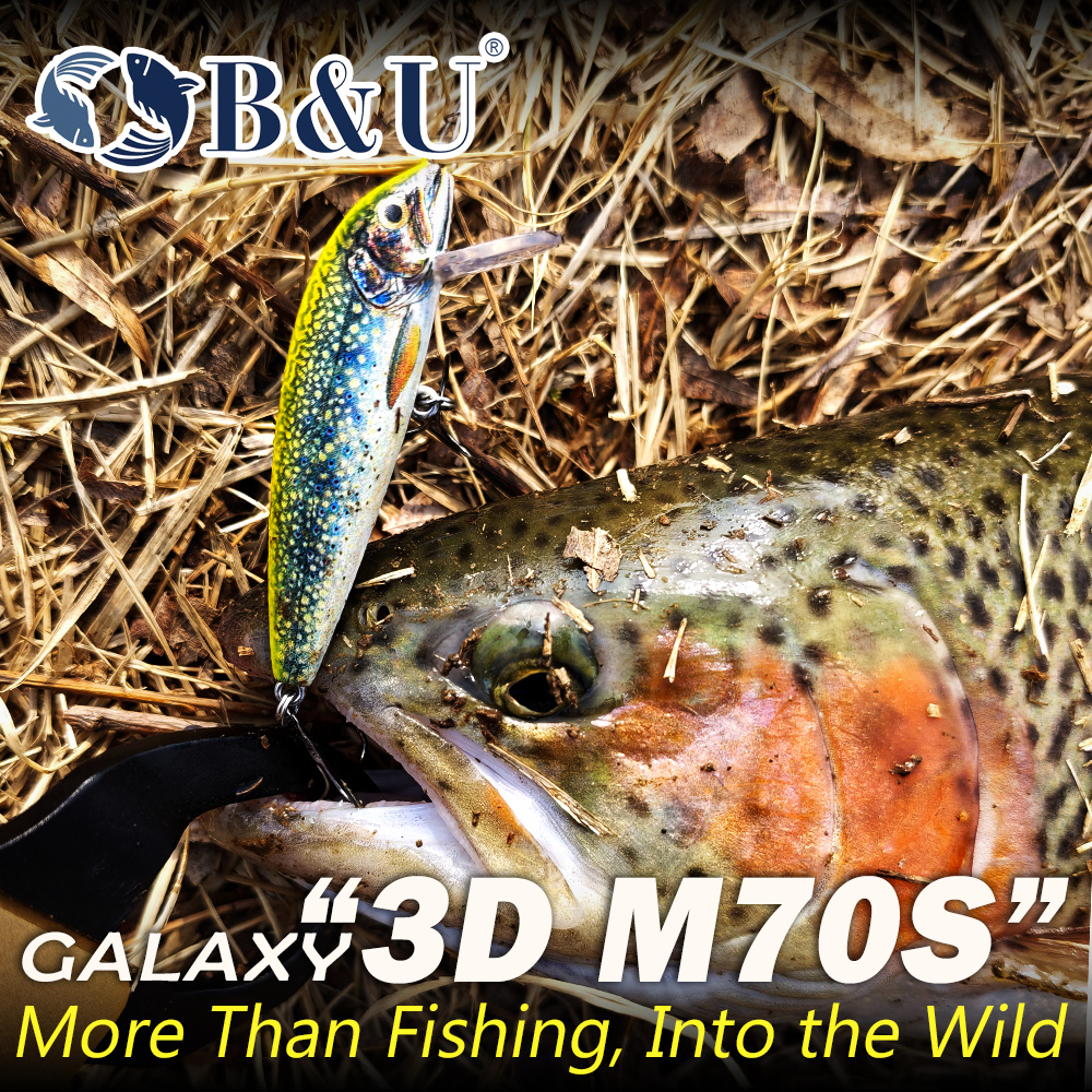B&U Sinking Minnow Fishing Lur - Fishing Hook Treble 리뷰 및 가격
