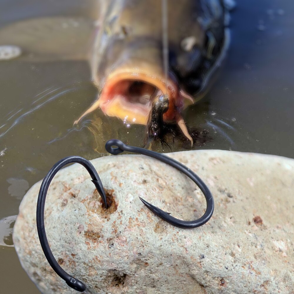 Hirisi Carp Fishing Hooks 50pc - Fishing Hook Offset 리뷰 및 가격