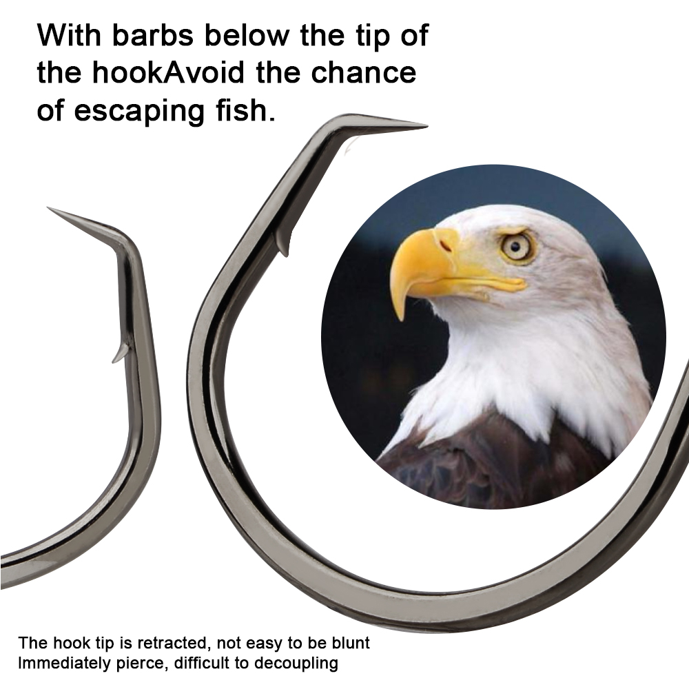 FTK Fishing Hooks Fishing Octo - Fishing Hook Circle 리뷰 및 가격